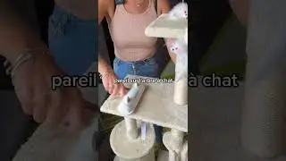 🔗 Lien de la brosse en commentaire (lien affilié)