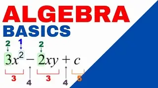 Algebra for Beginners | Basics of Algebra