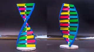 Science Projects | DNA Working Model