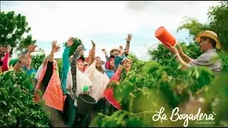 La Bogadera - Grupo Bandola   [Video Oficial]