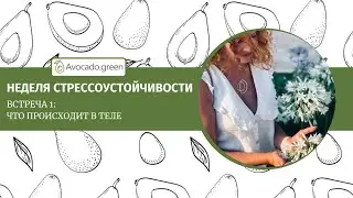 Как выйти из острого стресса и вернуть себе опору