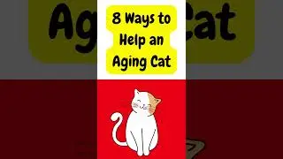 8 Ways to Help an Aging Cat #seniorcat #oldcat #catcaretips
