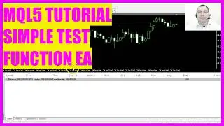 MQL5 TUTORIAL - SIMPLE TEST FUNCTION EXPERT ADVISOR