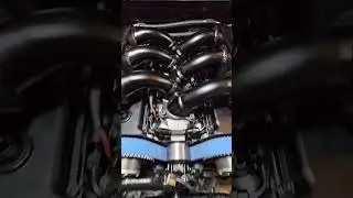 She's Alive Boys! Build specs are in the video link! 