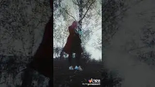 Тик ток и лайк)