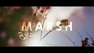 Show Me a Dinosaur - Marsh (OFFICIAL VIDEO)