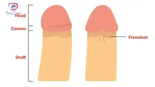 How To Make Penis Bigger: Jelqing To Increase Penis Size Up To 5 Inches In 7 Days