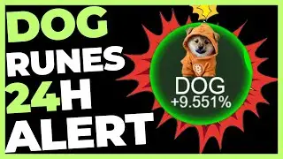 DOG GO TO THE MOON FALTAM POUCAS HORAS