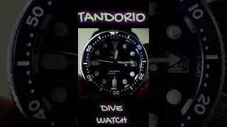 TANDORIO DIVE WATCH#shorts  #watch
