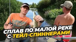 Сплав по малой реке. Ловим на тейл-спиннеры