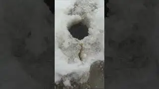 Давай тикай.