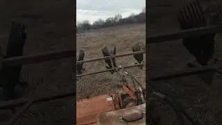Весна в разгаре