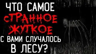Что Самое Странное/Страшное Вы Видели в ЛЕСУ? #5