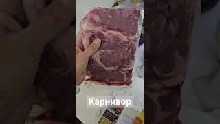 #carnivore