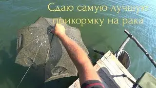 Checking the crayfish traps. I'm throwing out the best crayfish bait. I didn't expect such a catch!!