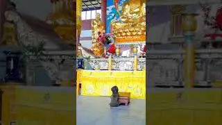 Budda god a worshiping dog