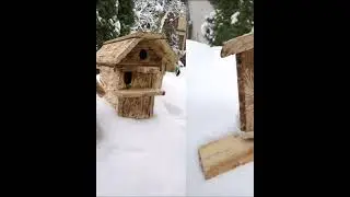 Домики для птиц и зверей 🐿️🐧🐦
