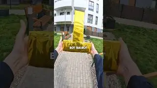 ТГ - pawNEpaw