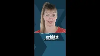 Darum gehts bei der Europawahl | DER SPIEGEL