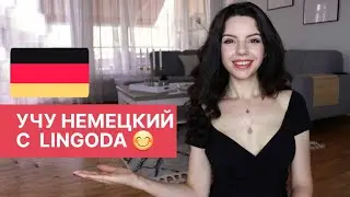 Выучить язык за 3 месяца и получите 100%-ный возврат оплаты за курс | Языковой марафон LINGODA