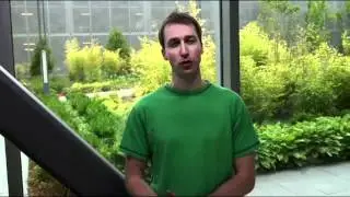 Super Smash Bros 4 (Wii U/3DS) - Developer Announcement