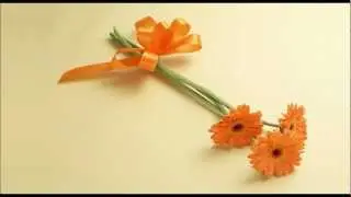 Lemonheads - Into Your Arms (lyrics)
