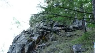 Река Черная