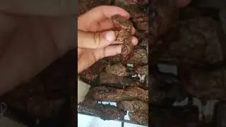 Приготовила говяжье лёкгое для собак #лакомствадлясобак