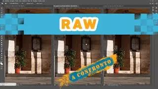 Sony A7R3: RAW compresso, non compresso, scatto multiplo ad alta risoluzione con spostamento pixel