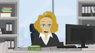 What is scarcity