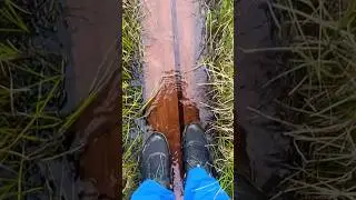 Целый день иду по воде • 450 км дикий автономный поход • Кунгследен 🥾🇸🇪