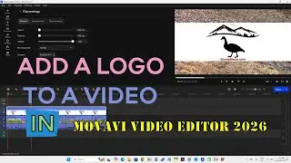 Add a logo to a video in Movavi Video Editor 2026