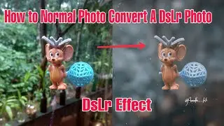How to Normal Photo Convert To A DSLR photo🔥🔥 || Create Dslr Effect ||  