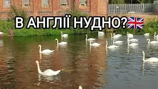 Водні розваги в Англії. Лебеді. Життя в лодках. Господарчі магазини. Ціни в Англії 