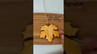 Согласны, что резные кленовые листья - одни из самых красивых осенью? (текст в комментариях)