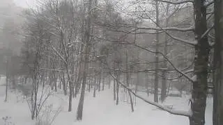 волшебный снег в феврале
