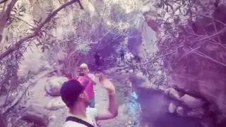 каньон Авакас