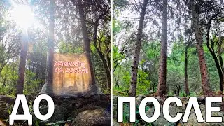 Утренний рассвет, солнце поднималось над землёй.. Вернули пейзажу первозданный вид.