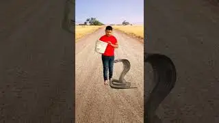 vfx|vfx effect|visual effects| blender vfx|vfx green screen|vfxgame,