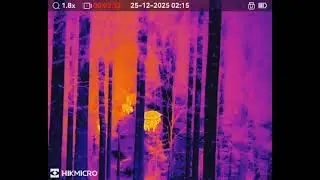 Hikmicro Lynx LH 19 2.0 - Wild Boars