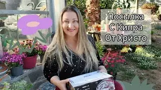 Посылка с Кипра от Христо 🌵