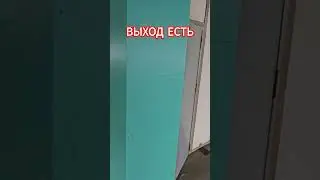Главное не запутаться    #япония #аукционыяпонии #выходесть #выходвход #жизньвяпонии