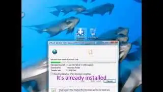 How to Restore Deleted Recycle Bin Files