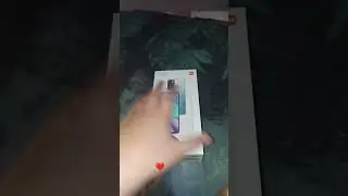 12 ноября 2023 г.