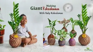 Making GIANT Kokedama With Baby Kokedamas | How to Make Your First Kokedama Balls//GREEN PLANTS