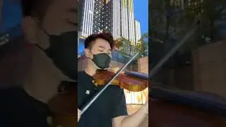 BLACKPINK - Shut Down - Violin Cover Quang Huy