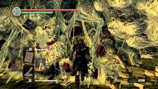 Прохождение Dark Souls PTDE [часть 18] Присцилла, ковенант Слуги Хаоса