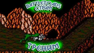 Жабный стрим. Треним прохождение Battletoads на Dendy.