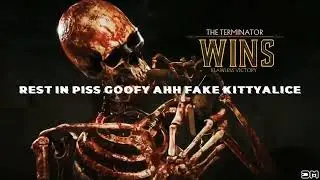 Roasting Goofy ahh fake kittyAlice