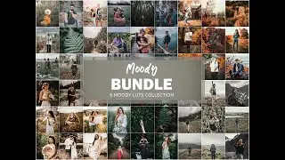 6 Moody LUTS Bundle | Moody LUTs | Moody Green LUTs | Moody Folk LUTs | Moody Adventure LUTs